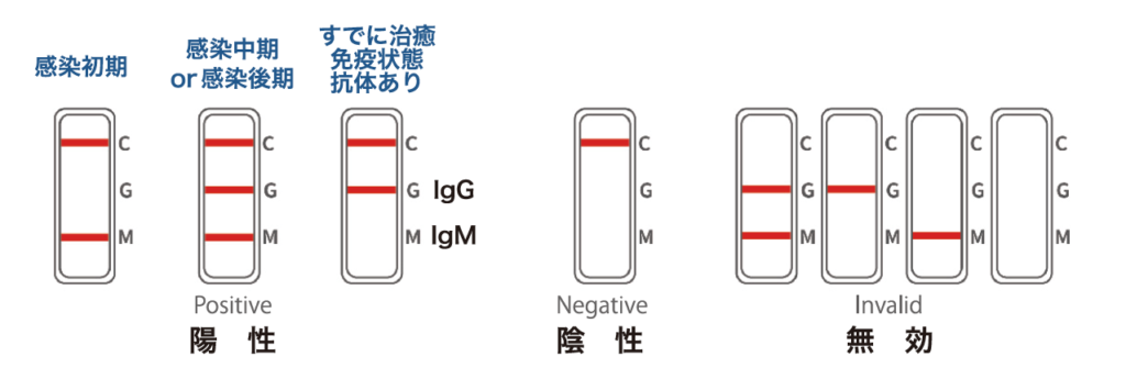 抗体検査キット